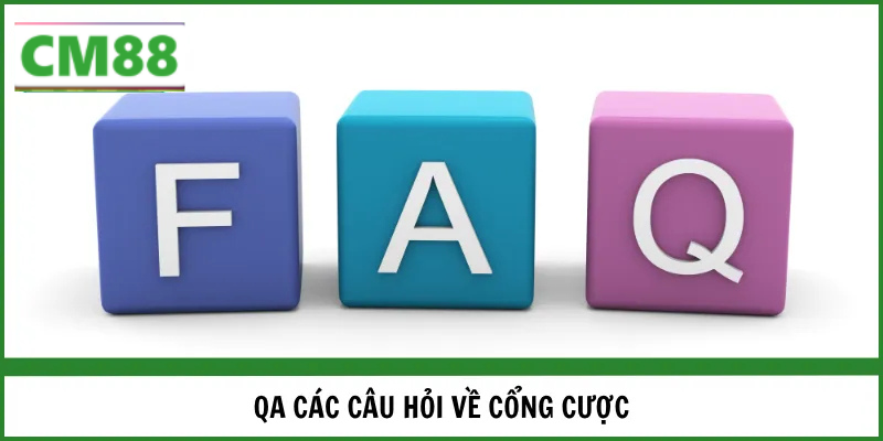 QA các câu hỏi về cổng cược