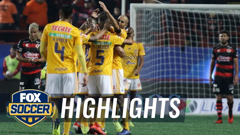 Club Tijuana và Tigres UANL: Cuộc đụng độ hấp dẫn 8 club tijuana va tigres uanl google 6857